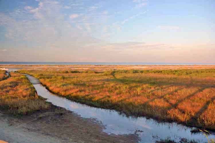 path to beach